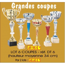 Réf. DT6 - LOT DE 6 COUPES hauteur moyenne 34 cm